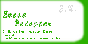 emese meiszter business card